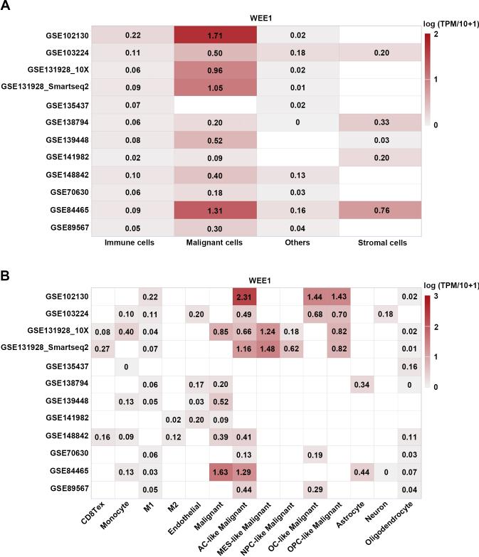 https://cdn.ncbi.nlm.nih.gov/pmc/blobs/a663/11380252/833e643c6972/cbm-40-cbm230517-g008.jpg