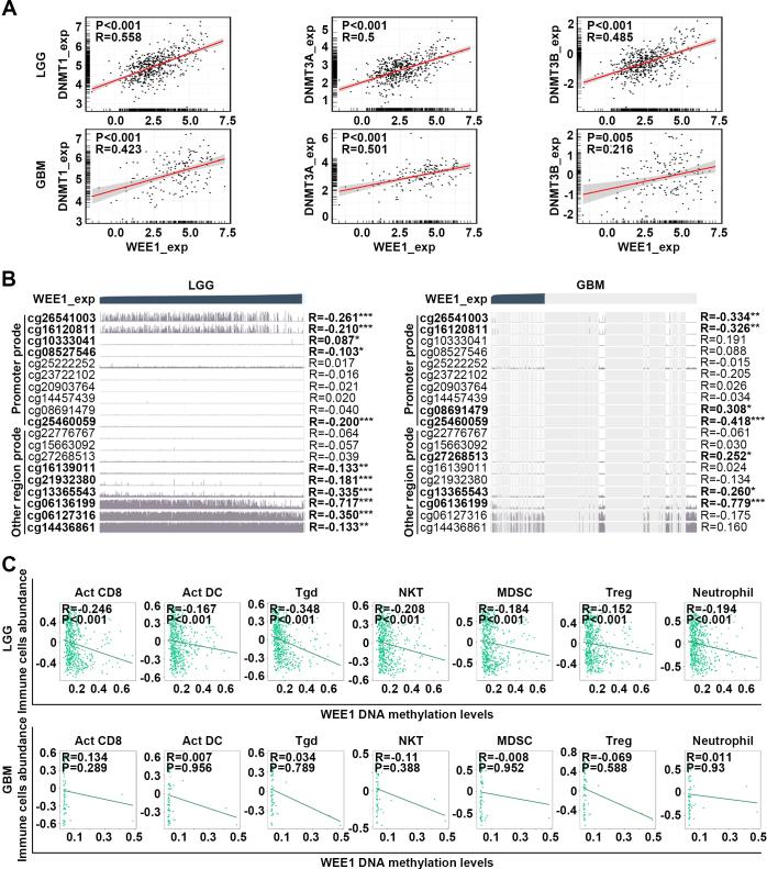 https://cdn.ncbi.nlm.nih.gov/pmc/blobs/a663/11380252/9cbe24abc73d/cbm-40-cbm230517-g005.jpg