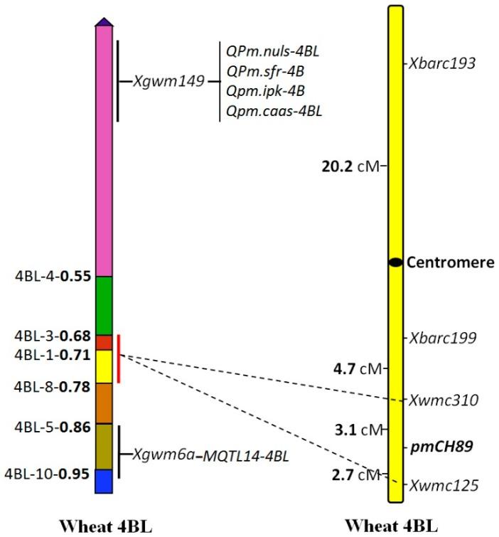 https://cdn.ncbi.nlm.nih.gov/pmc/blobs/a663/4581190/672bcbc8c1d2/ijms-16-17231-g004.jpg