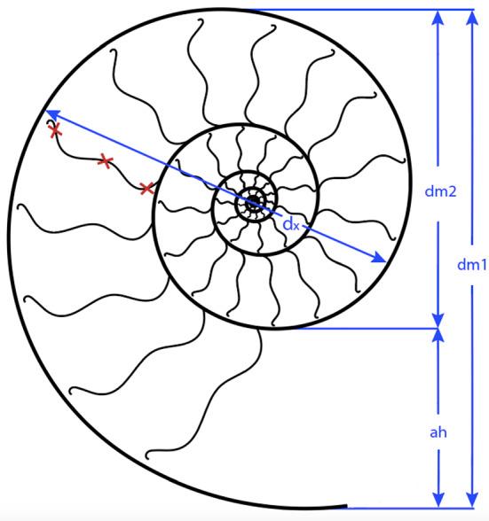 https://cdn.ncbi.nlm.nih.gov/pmc/blobs/a663/9016059/e8589de77808/13358_2022_246_Fig6_HTML.jpg