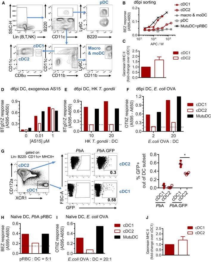 https://cdn.ncbi.nlm.nih.gov/pmc/blobs/a664/5666312/0aa84b05564a/EMMM-9-1605-g008.jpg