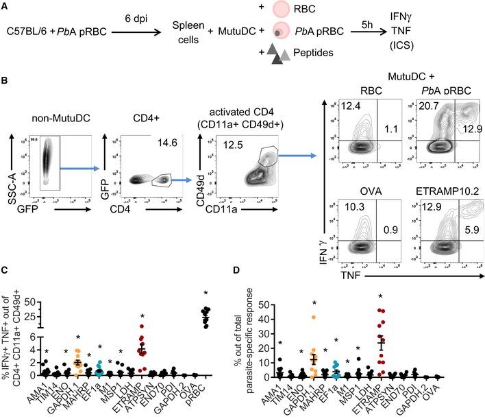 https://cdn.ncbi.nlm.nih.gov/pmc/blobs/a664/5666312/0fe437e7b47b/EMMM-9-1605-g004.jpg