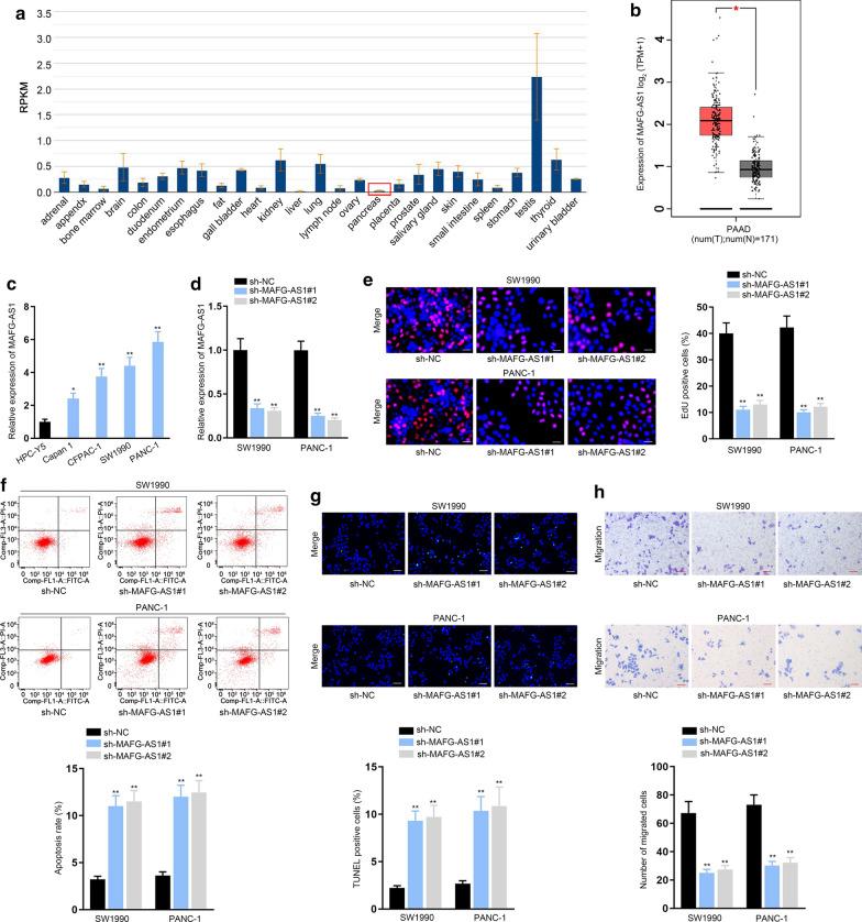 https://cdn.ncbi.nlm.nih.gov/pmc/blobs/a664/7724861/46a70ee2dd9c/12935_2020_1669_Fig1_HTML.jpg