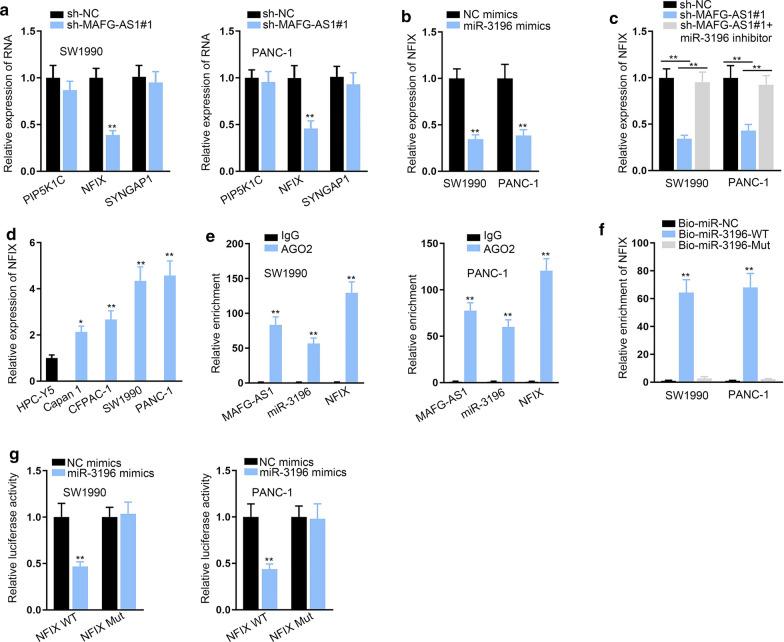 https://cdn.ncbi.nlm.nih.gov/pmc/blobs/a664/7724861/7cd6b0417e34/12935_2020_1669_Fig4_HTML.jpg