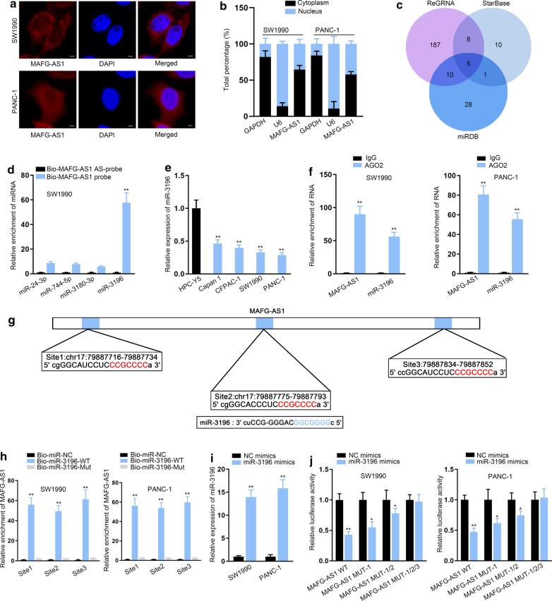 https://cdn.ncbi.nlm.nih.gov/pmc/blobs/a664/7724861/8f5aeb370885/12935_2020_1669_Fig2_HTML.jpg
