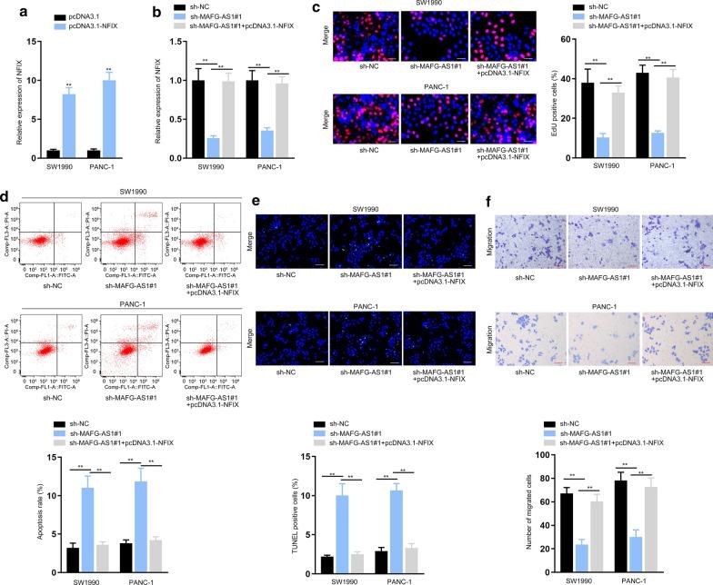 https://cdn.ncbi.nlm.nih.gov/pmc/blobs/a664/7724861/905f533efc03/12935_2020_1669_Fig5_HTML.jpg