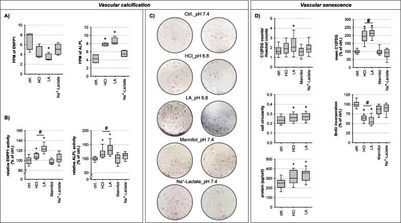https://cdn.ncbi.nlm.nih.gov/pmc/blobs/a665/10775599/39b9567ead2a/12929_2023_992_Fig5_HTML.jpg