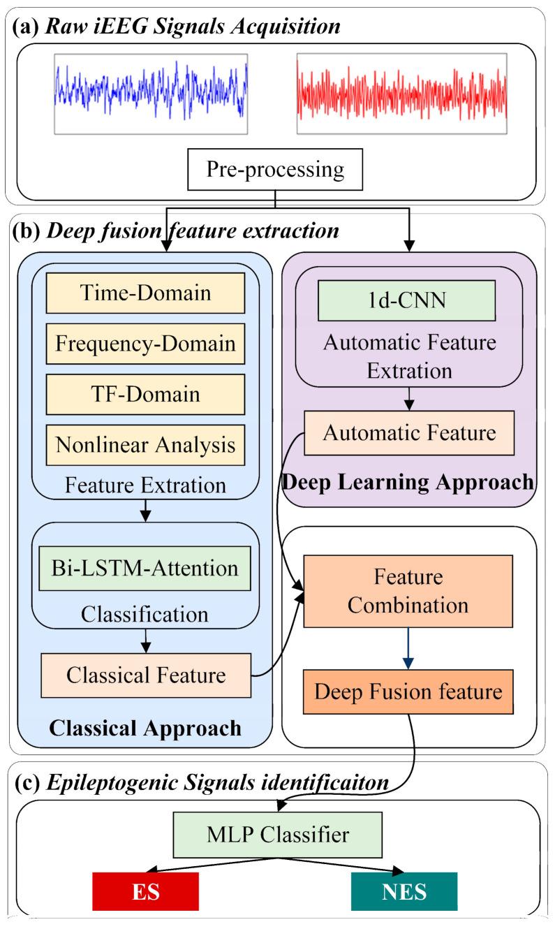 https://cdn.ncbi.nlm.nih.gov/pmc/blobs/a665/8150766/c66b358b6351/brainsci-11-00615-g002.jpg
