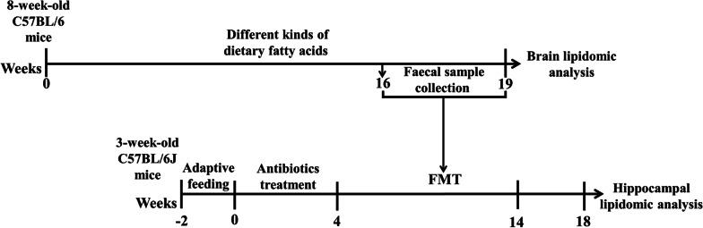 https://cdn.ncbi.nlm.nih.gov/pmc/blobs/a665/9930259/ea7b42378ba9/12986_2023_730_Fig1_HTML.jpg