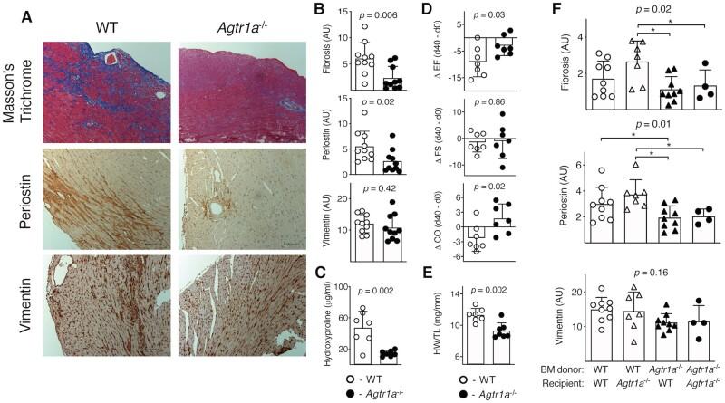 https://cdn.ncbi.nlm.nih.gov/pmc/blobs/a666/8803091/3562071a9776/cvab039f2.jpg