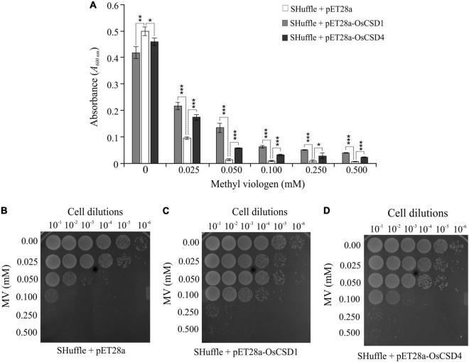 https://cdn.ncbi.nlm.nih.gov/pmc/blobs/a666/9191229/3a47ecd73a23/fpls-13-864330-g009.jpg