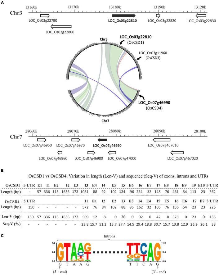 https://cdn.ncbi.nlm.nih.gov/pmc/blobs/a666/9191229/c8a06319097b/fpls-13-864330-g001.jpg