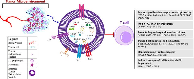 https://cdn.ncbi.nlm.nih.gov/pmc/blobs/a668/8513270/68822cd501f7/jitc-2021-003217f01.jpg
