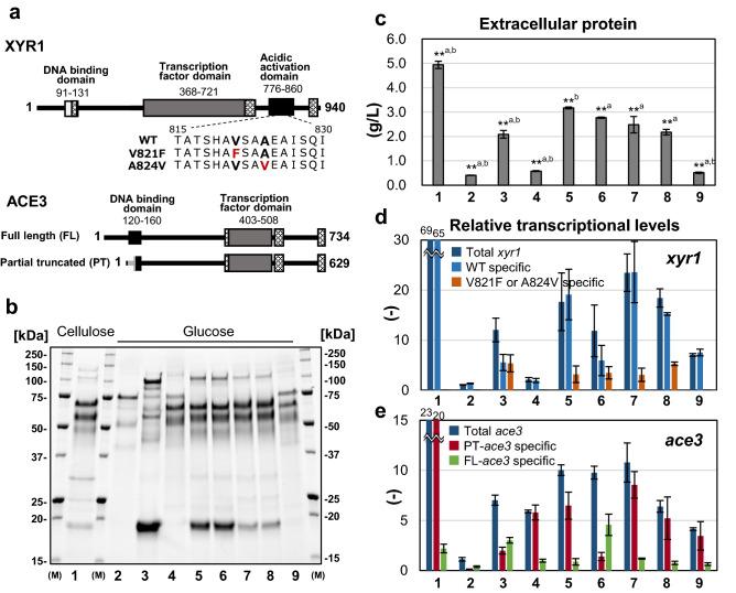 https://cdn.ncbi.nlm.nih.gov/pmc/blobs/a669/9663580/30d7f6de1caa/41598_2022_23815_Fig3_HTML.jpg