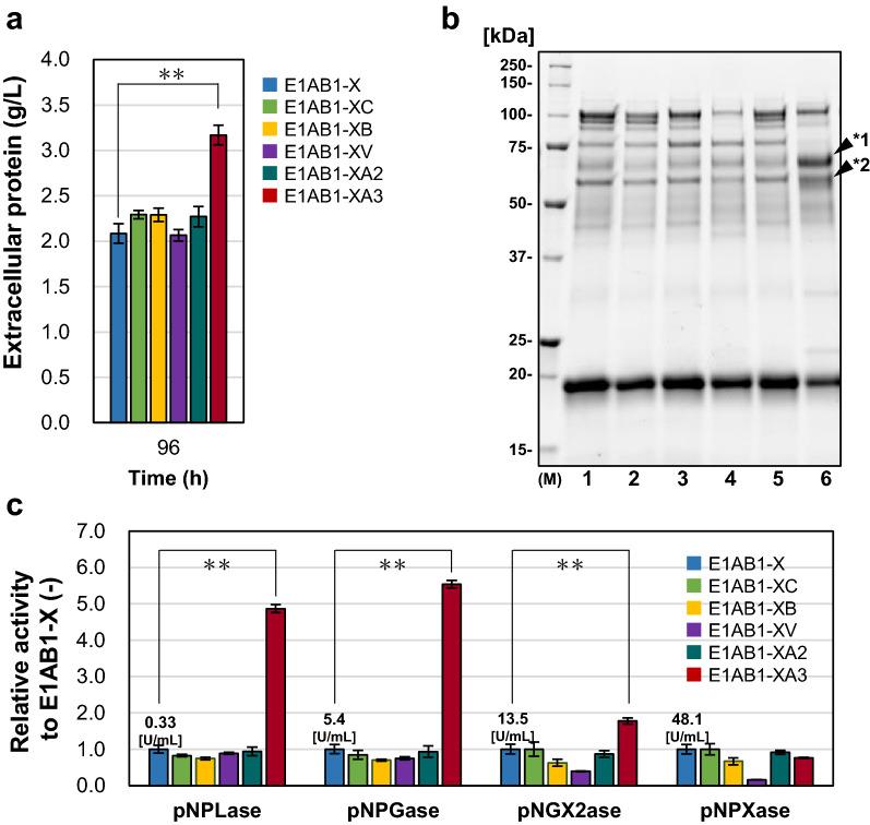 https://cdn.ncbi.nlm.nih.gov/pmc/blobs/a669/9663580/df6d57fcb8e2/41598_2022_23815_Fig2_HTML.jpg