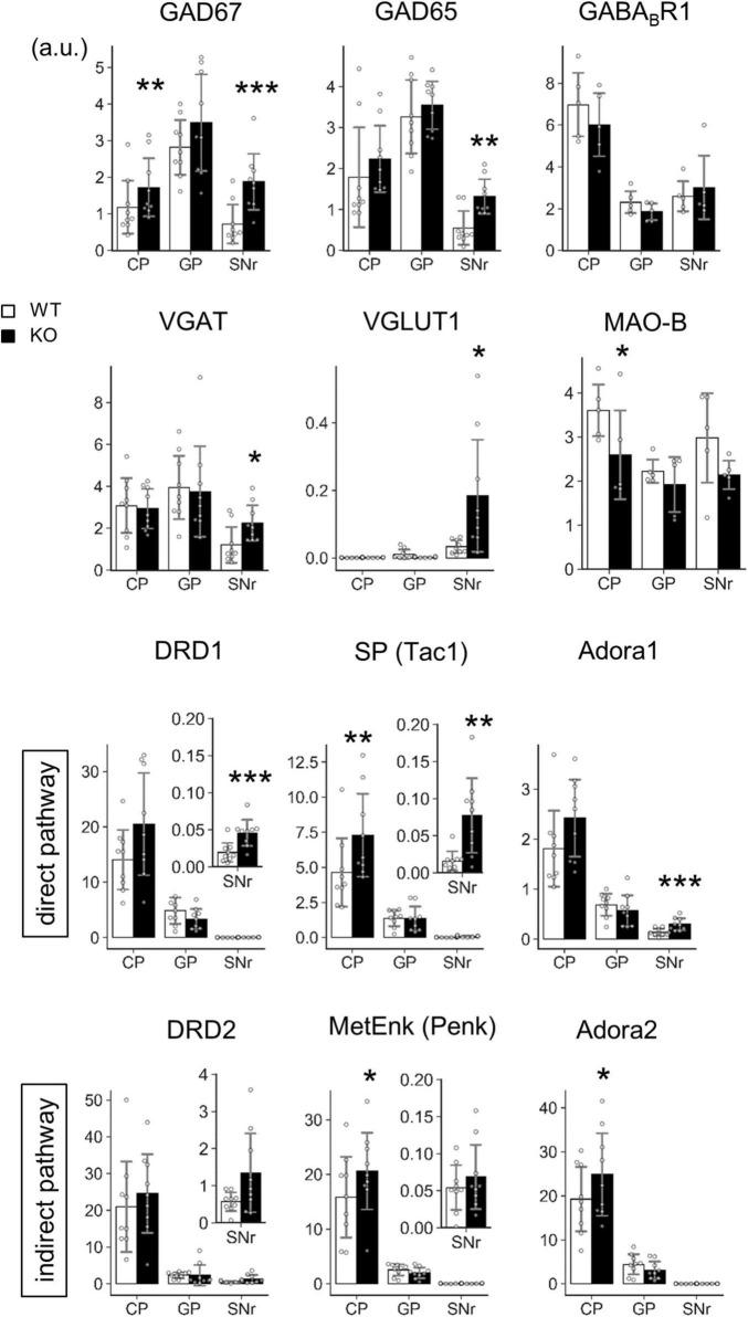 https://cdn.ncbi.nlm.nih.gov/pmc/blobs/a66b/9126195/e1681674da34/fnmol-15-856315-g008.jpg