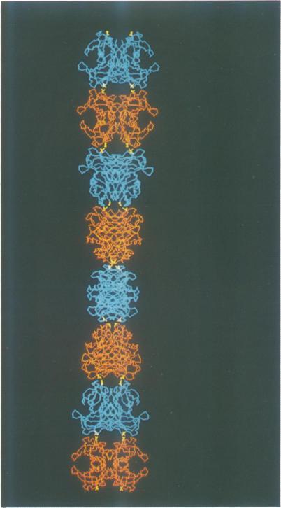 https://cdn.ncbi.nlm.nih.gov/pmc/blobs/a66d/413260/d977028887ea/emboj00074-0359-a.jpg
