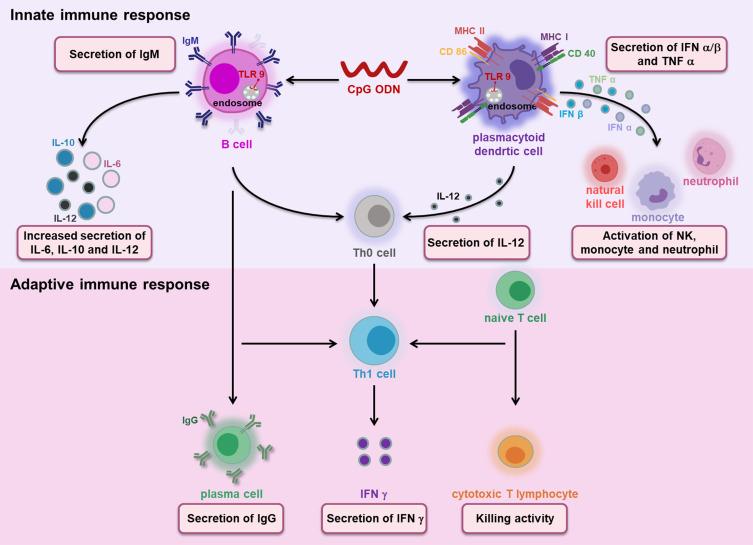 https://cdn.ncbi.nlm.nih.gov/pmc/blobs/a66f/8352601/28dcfee5c071/IJN-16-5281-g0001.jpg