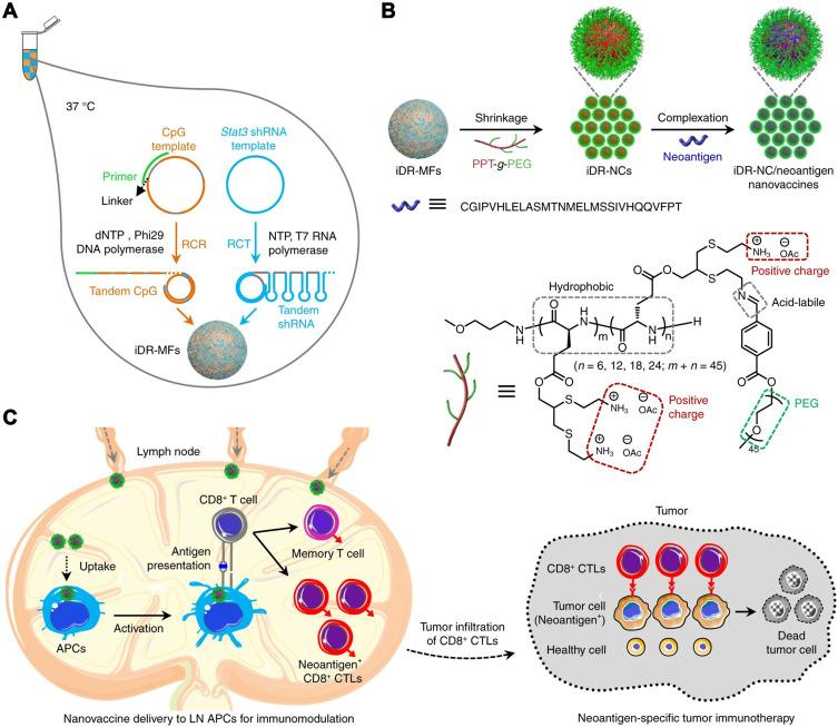 https://cdn.ncbi.nlm.nih.gov/pmc/blobs/a66f/8352601/9dd9483616b7/IJN-16-5281-g0004.jpg