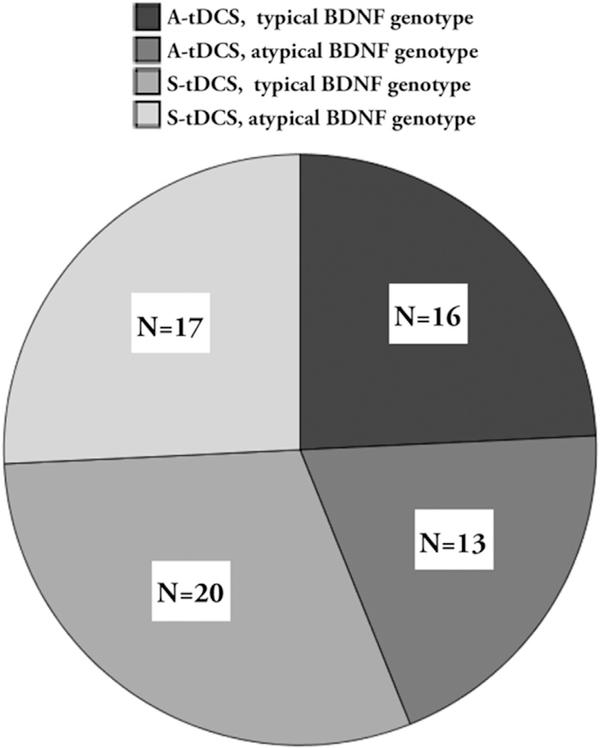 https://cdn.ncbi.nlm.nih.gov/pmc/blobs/a673/6293970/fbffc8d0c957/nihms-1504951-f0001.jpg