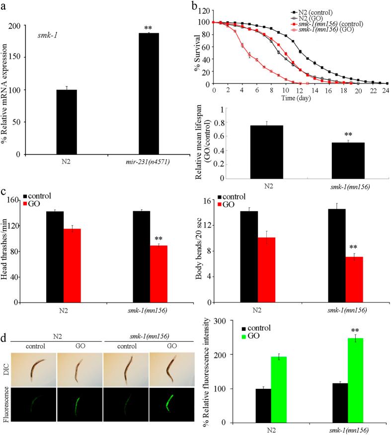 https://cdn.ncbi.nlm.nih.gov/pmc/blobs/a674/4997325/5990512a777f/srep32214-f5.jpg