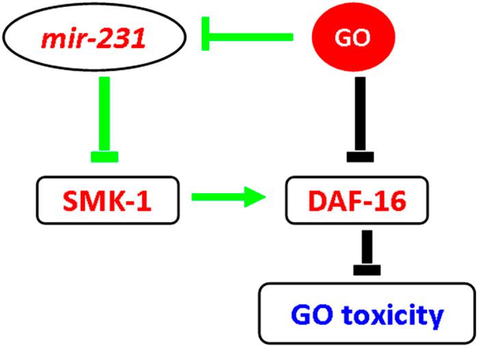 https://cdn.ncbi.nlm.nih.gov/pmc/blobs/a674/4997325/d5836634a341/srep32214-f10.jpg