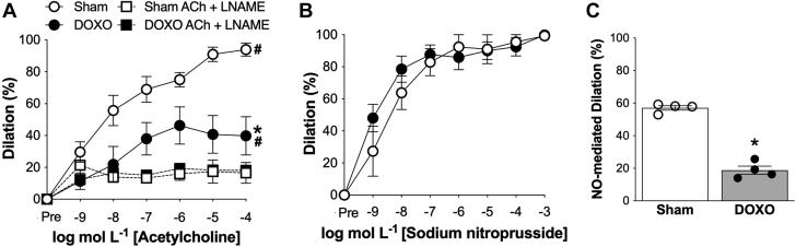 https://cdn.ncbi.nlm.nih.gov/pmc/blobs/a674/8352123/ba1e66398a2b/gr1.jpg