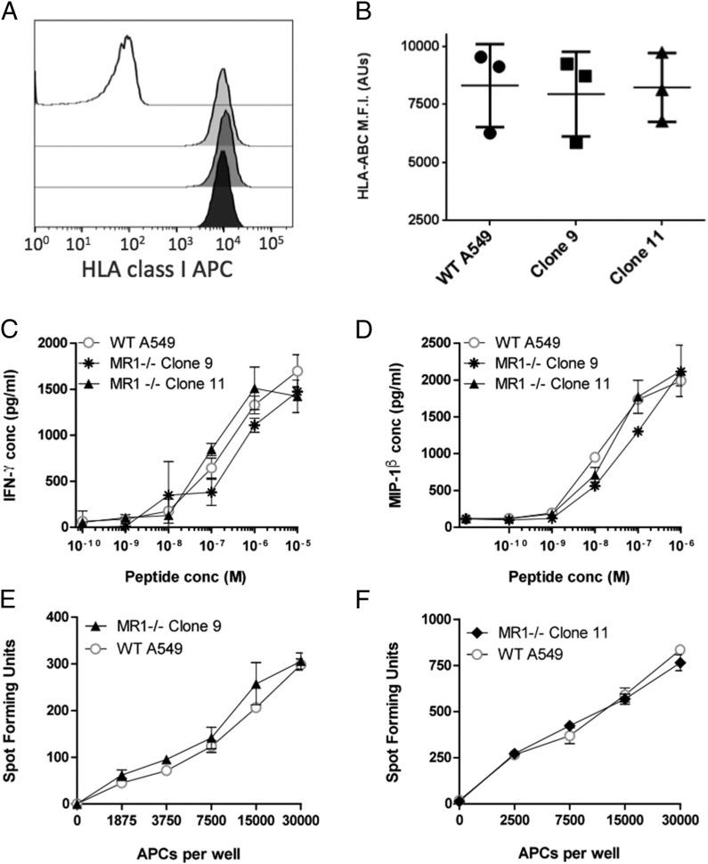 https://cdn.ncbi.nlm.nih.gov/pmc/blobs/a675/4947828/5710a492e62a/JI_1501402_f5.jpg