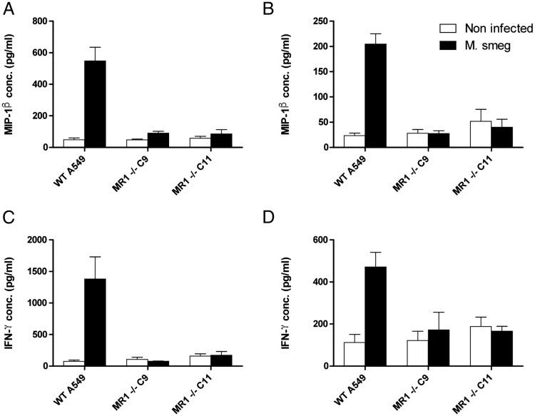 https://cdn.ncbi.nlm.nih.gov/pmc/blobs/a675/4947828/ea41cea54b14/JI_1501402_f4.jpg