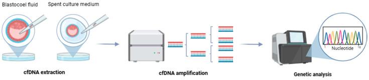 https://cdn.ncbi.nlm.nih.gov/pmc/blobs/a676/11675356/1902eec1a867/genes-15-01613-g004.jpg