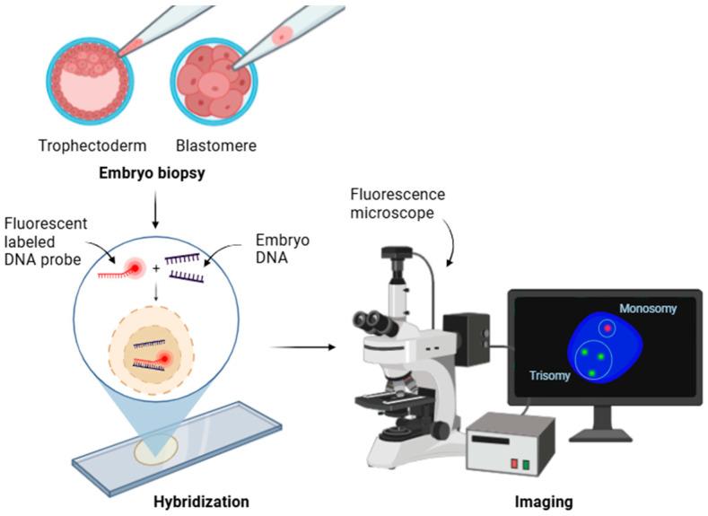 https://cdn.ncbi.nlm.nih.gov/pmc/blobs/a676/11675356/b22cfaa4e292/genes-15-01613-g002.jpg