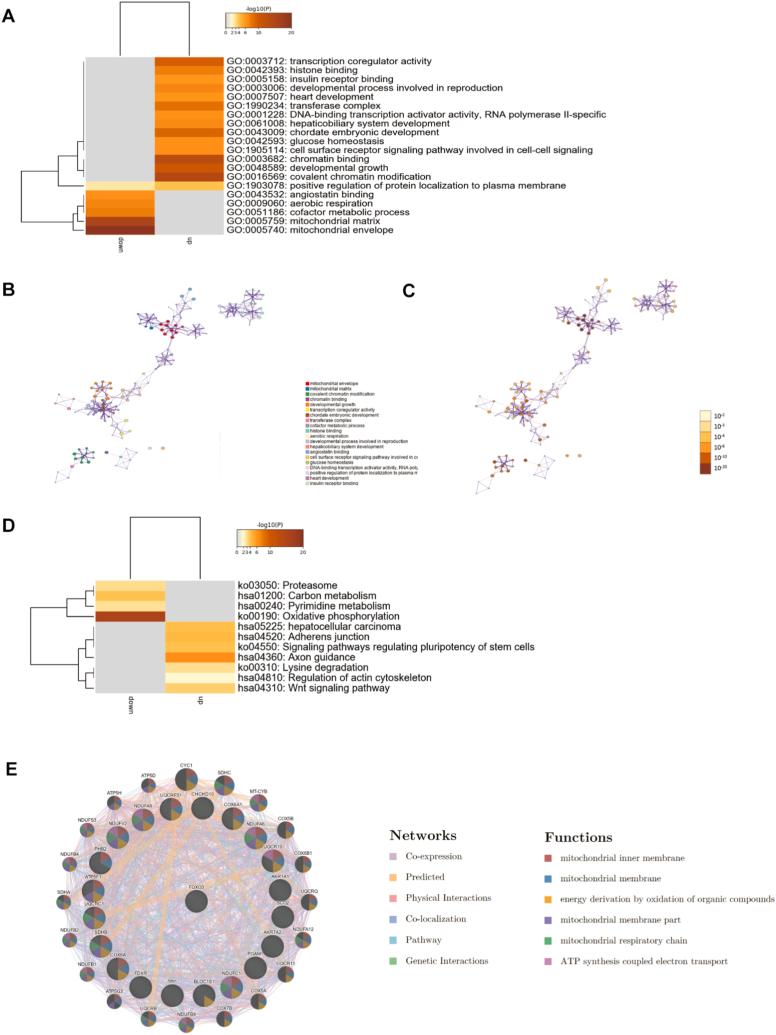 https://cdn.ncbi.nlm.nih.gov/pmc/blobs/a678/10149220/24d93b7412dc/gr6.jpg