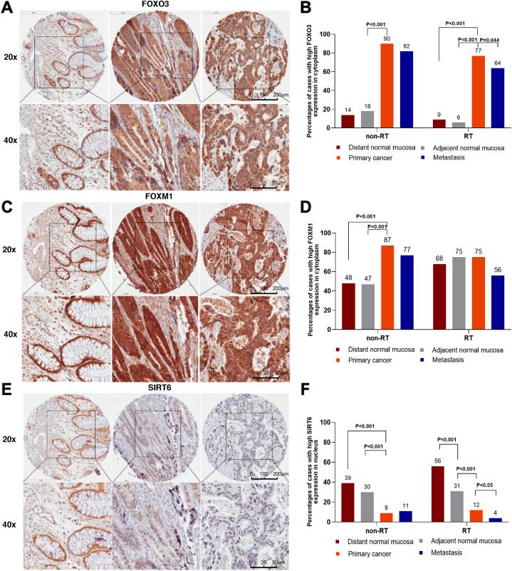 https://cdn.ncbi.nlm.nih.gov/pmc/blobs/a678/10149220/e3d9385ba837/gr1.jpg