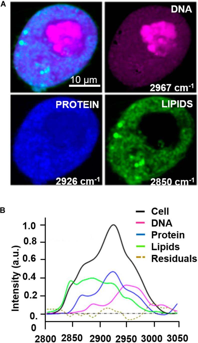 https://cdn.ncbi.nlm.nih.gov/pmc/blobs/a67a/7581943/965a10ee40aa/fbioe-08-585363-g004.jpg