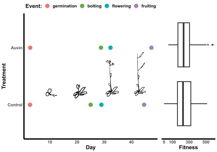 https://cdn.ncbi.nlm.nih.gov/pmc/blobs/a67b/10860551/821634ef2564/peerj-12-16873-g002.jpg