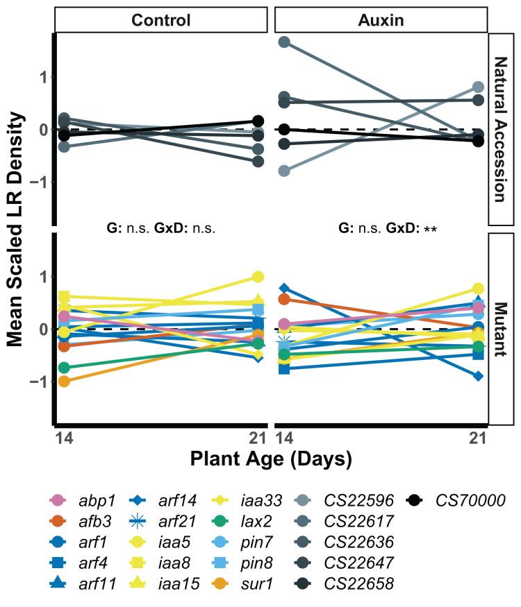 https://cdn.ncbi.nlm.nih.gov/pmc/blobs/a67b/10860551/98f58f9801f2/peerj-12-16873-g004.jpg