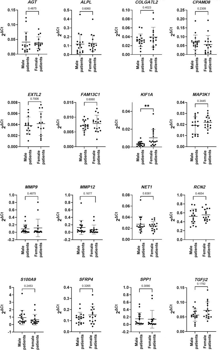 https://cdn.ncbi.nlm.nih.gov/pmc/blobs/a67d/12399057/79eae47eda4c/gr3.jpg