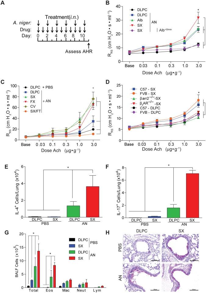 https://cdn.ncbi.nlm.nih.gov/pmc/blobs/a67d/4659681/0b7d764fbf87/pone.0142212.g001.jpg