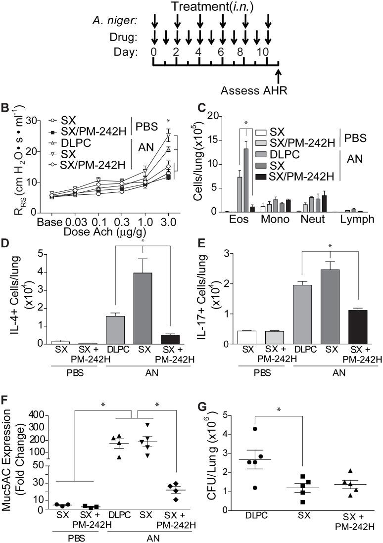 https://cdn.ncbi.nlm.nih.gov/pmc/blobs/a67d/4659681/e2c264ac5df5/pone.0142212.g006.jpg