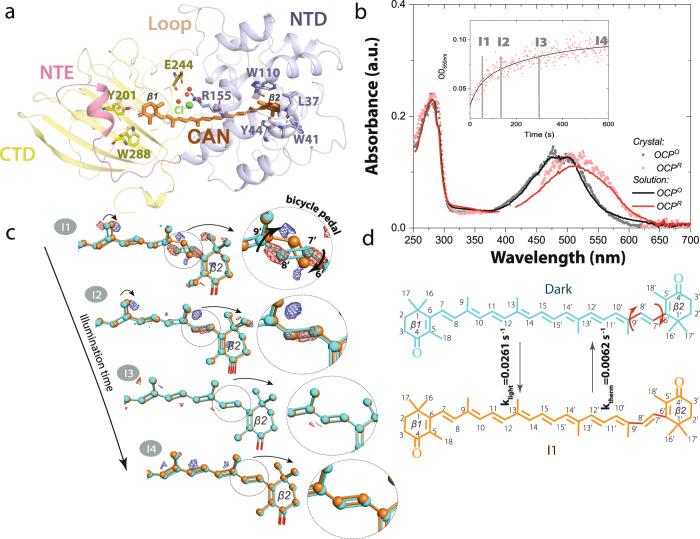 https://cdn.ncbi.nlm.nih.gov/pmc/blobs/a67d/9616832/5003c5023a94/41467_2022_34137_Fig1_HTML.jpg