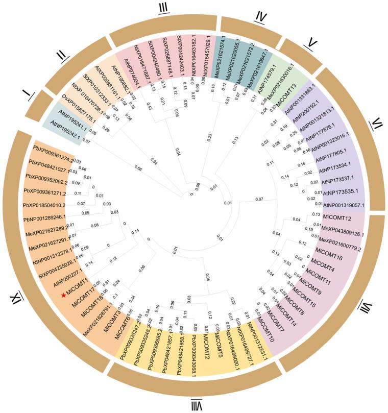 https://cdn.ncbi.nlm.nih.gov/pmc/blobs/a67e/10931984/9b85b5f80932/ijms-25-02639-g001.jpg