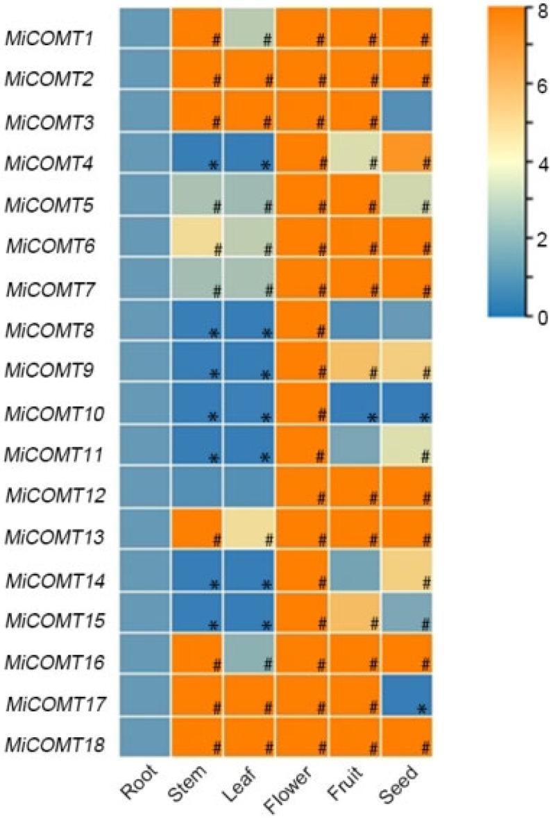 https://cdn.ncbi.nlm.nih.gov/pmc/blobs/a67e/10931984/b510a703cd9a/ijms-25-02639-g004.jpg