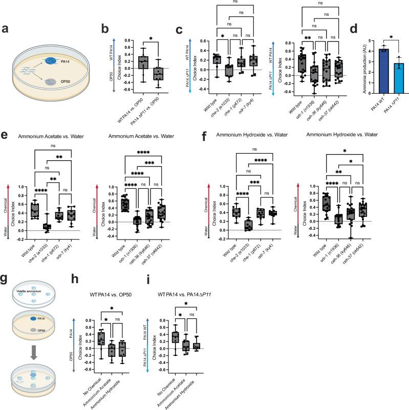 https://cdn.ncbi.nlm.nih.gov/pmc/blobs/a67f/11387622/8545f4090797/41467_2024_52227_Fig1_HTML.jpg