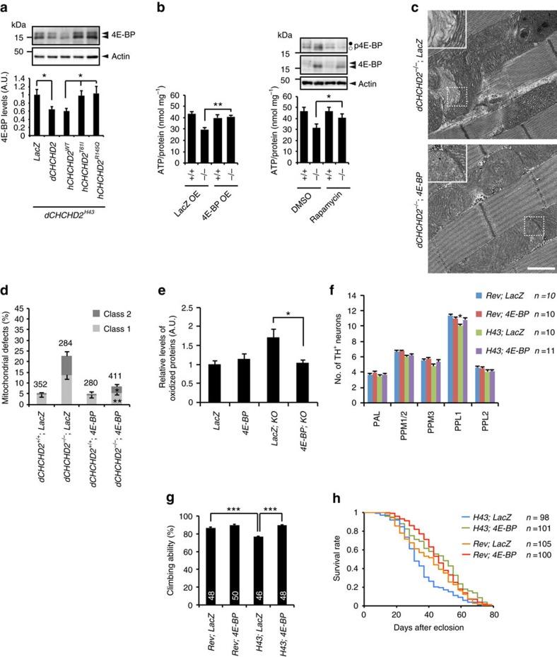 https://cdn.ncbi.nlm.nih.gov/pmc/blobs/a67f/5467237/049e5d62a69a/ncomms15500-f8.jpg