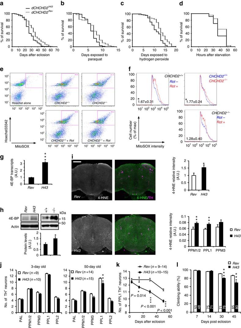 https://cdn.ncbi.nlm.nih.gov/pmc/blobs/a67f/5467237/53a99505aa8c/ncomms15500-f2.jpg