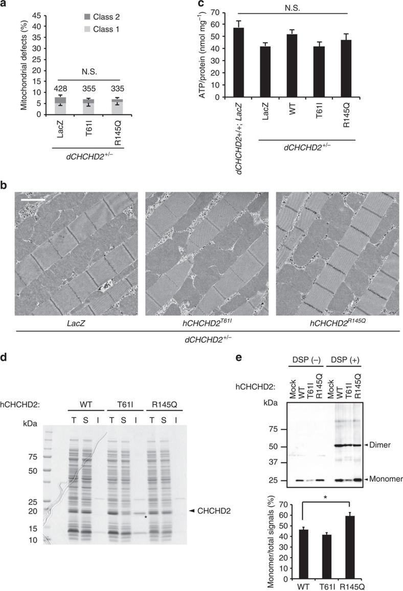 https://cdn.ncbi.nlm.nih.gov/pmc/blobs/a67f/5467237/c48fe99ffc1d/ncomms15500-f7.jpg