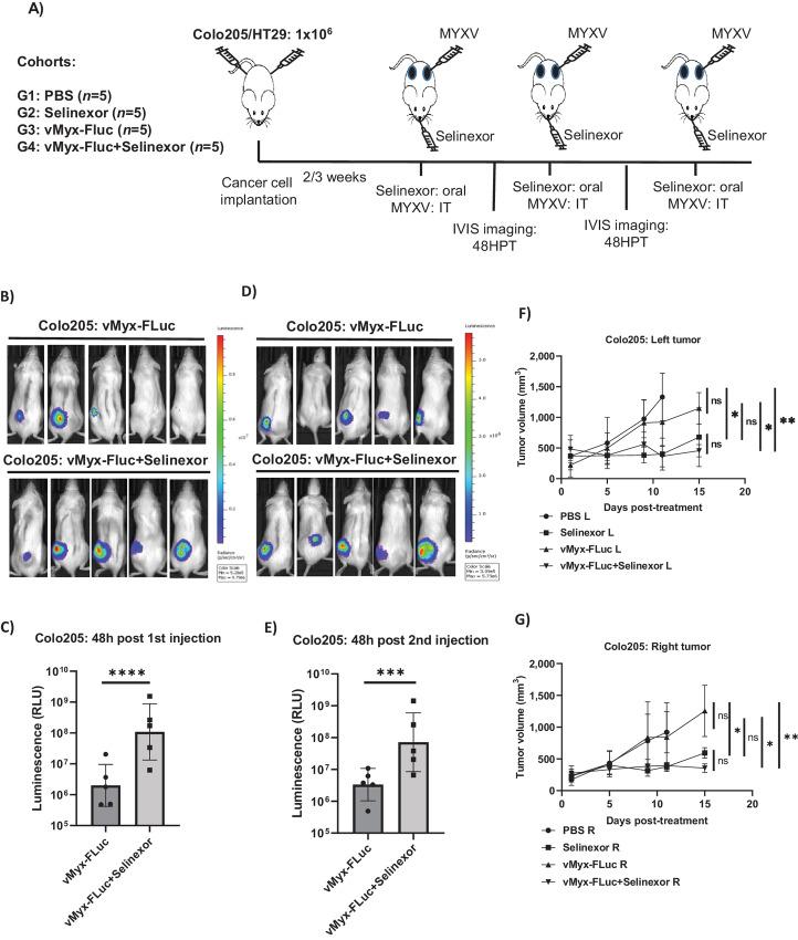 https://cdn.ncbi.nlm.nih.gov/pmc/blobs/a680/10234290/0345ece4456b/crc-22-0483_fig7.jpg