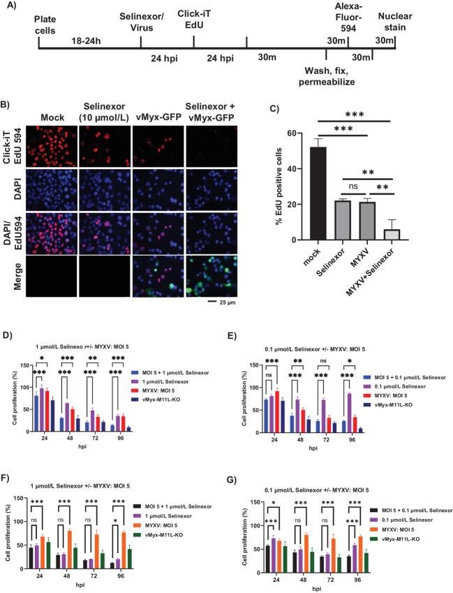 https://cdn.ncbi.nlm.nih.gov/pmc/blobs/a680/10234290/7549b4aef6bb/crc-22-0483_fig4.jpg