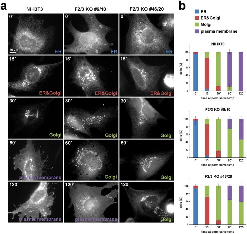 https://cdn.ncbi.nlm.nih.gov/pmc/blobs/a680/5575334/4c6c066d51d1/41598_2017_9952_Fig8_HTML.jpg