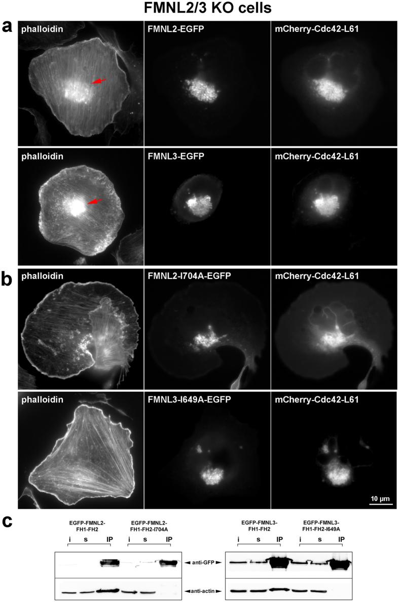 https://cdn.ncbi.nlm.nih.gov/pmc/blobs/a680/5575334/6d6f2ef493cb/41598_2017_9952_Fig2_HTML.jpg
